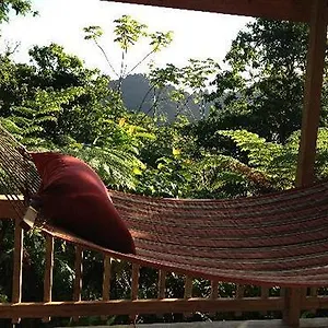 https://roots-jungle-retreat.comcaribbean.com